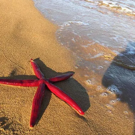 Casa Vacanze Mare Chiaro * 카포 리주토